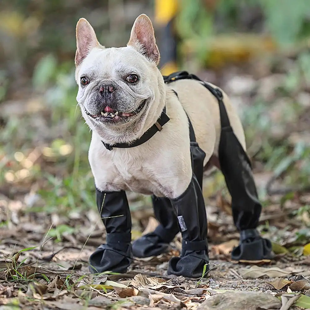 Waterproof Dog Boots Anti-Slip Dog Shoes with Rugged Rubber Sole, Pet Paw Protector for Small Medium Dogs