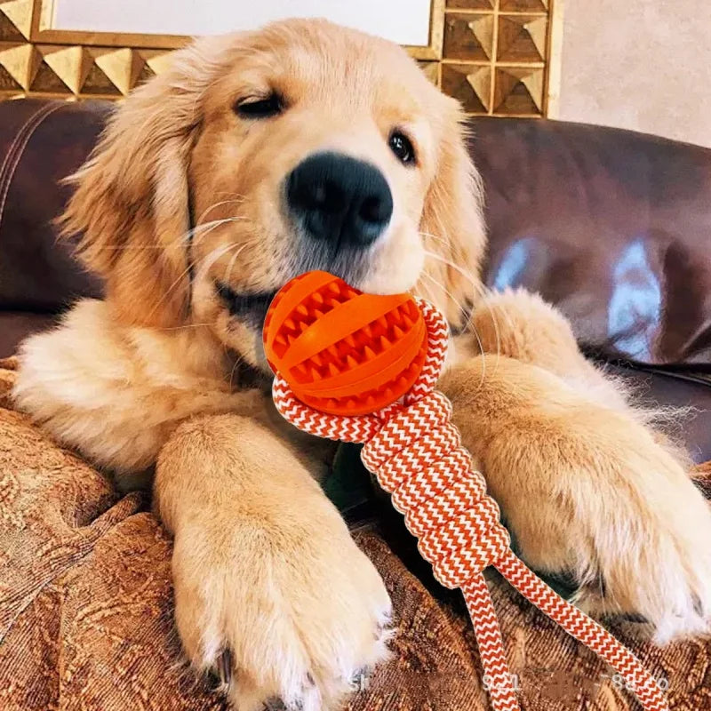 Pet Treat Balls with Rope Interactive Dog Rubber Leaking Balls Toy for Small Large Dogs Chewing Bite Resistant Toys Pet Supplies